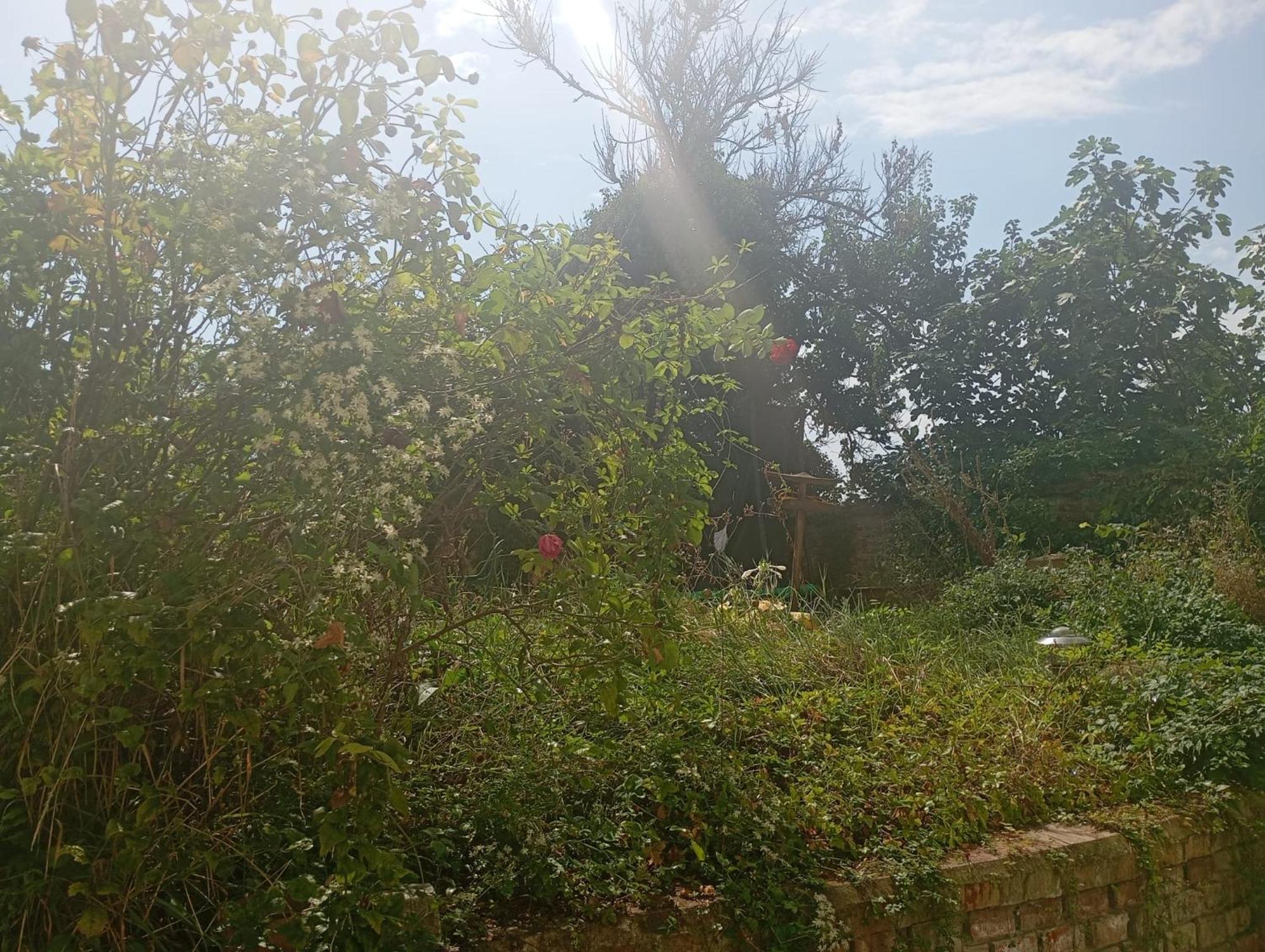 ברנו Byt S Terasou A Zahradou מראה חיצוני תמונה
